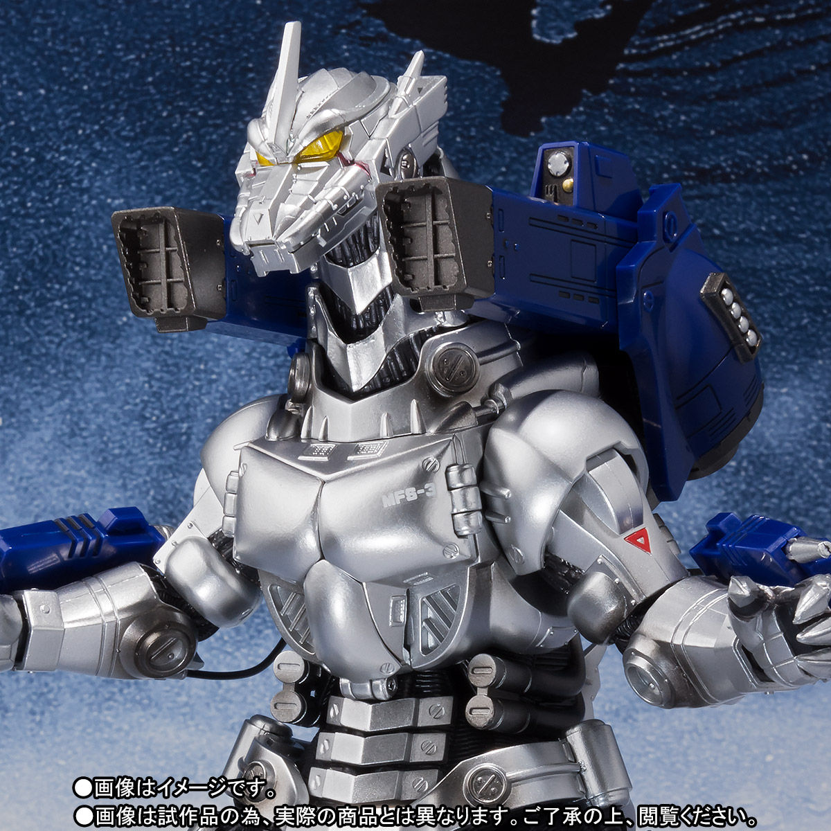 Picture