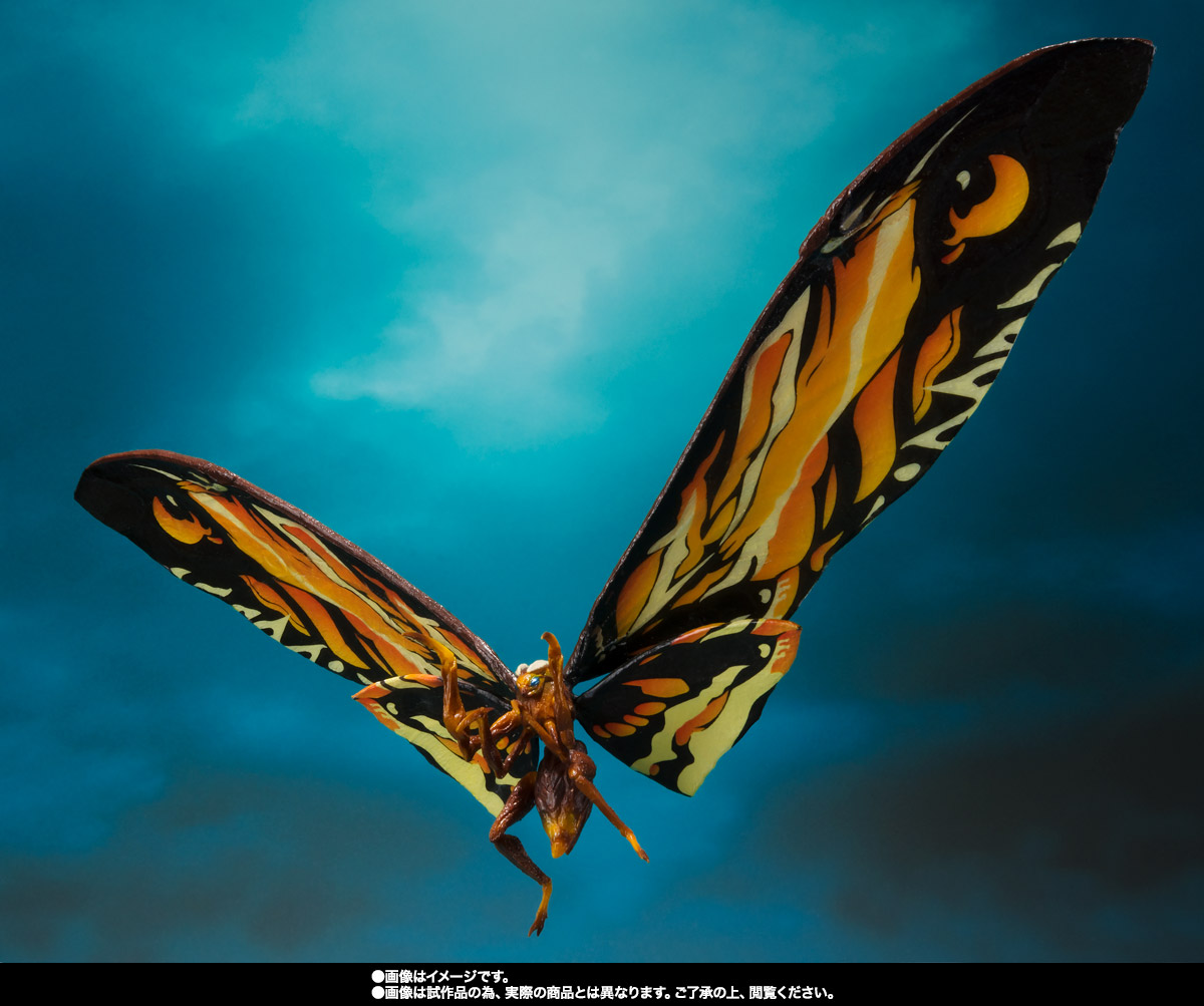 Picture