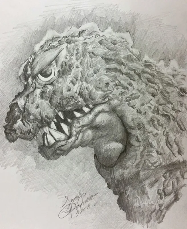 Picture