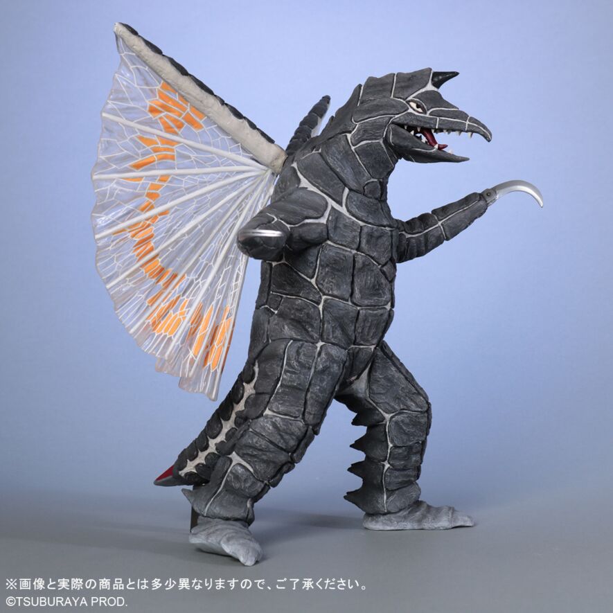 Picture