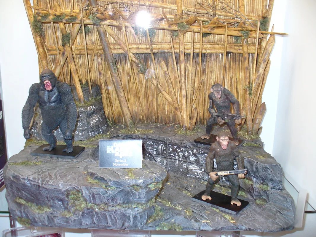 Picture