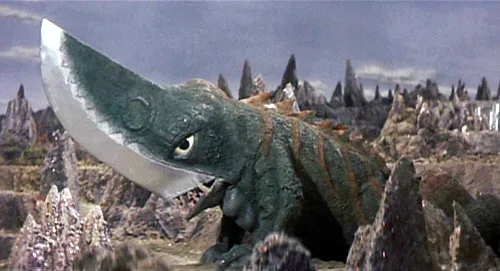 Picture