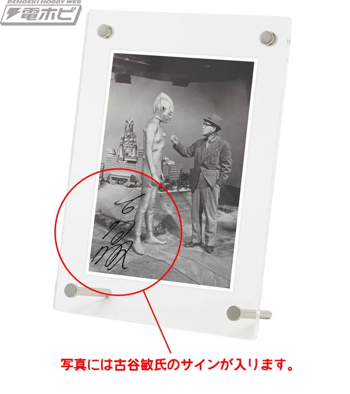 Picture