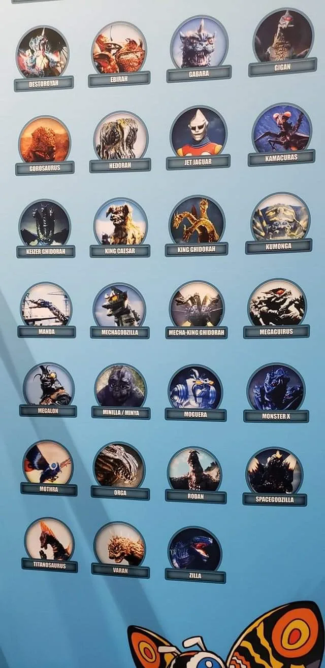 Picture